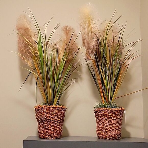 Decorate greens in basket 2 pieces - Picture 1 of 5